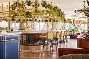 dani brasserie