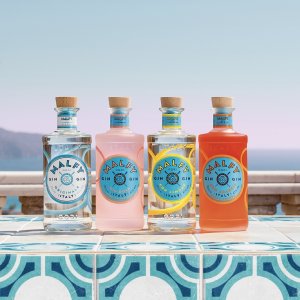 día mundial ginebra