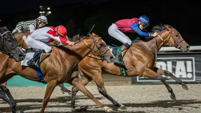 Las memorables noches de verano se viven en el Hipódromo de la Zarzuela