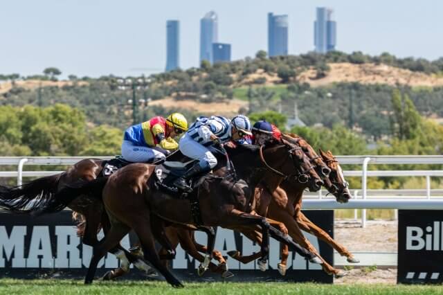 Hipódromo de la Zarzuela, el lugar donde vivir las mejores noches de verano en Madrid