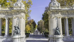 picnic madrid