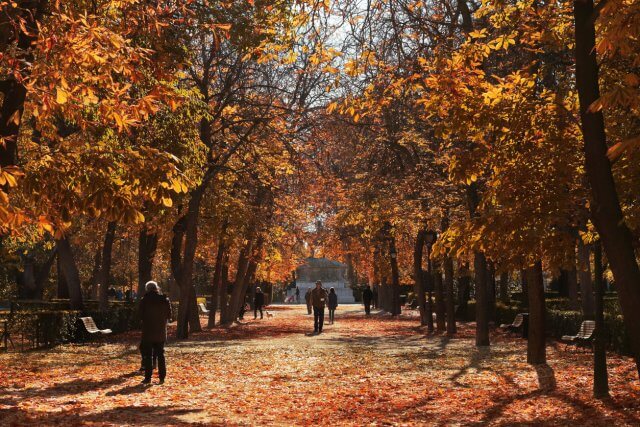 10 planes para hacer este fin de semana en Madrid