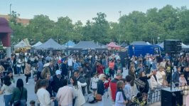 Actividades gratuitas para todas las edades en el Día de las Familias